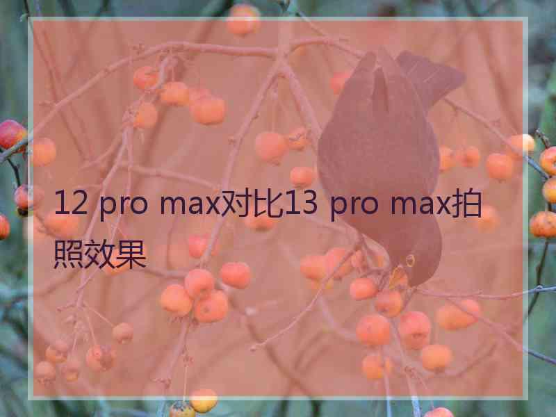 12 pro max对比13 pro max拍照效果