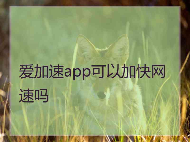 爱加速app可以加快网速吗