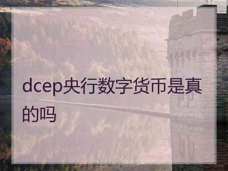 dcep央行数字货币是真的吗