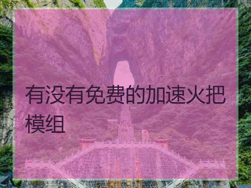 有没有免费的加速火把模组