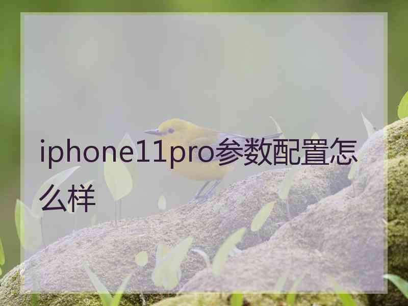 iphone11pro参数配置怎么样