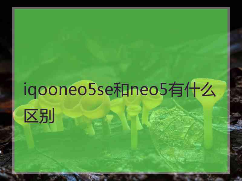 iqooneo5se和neo5有什么区别