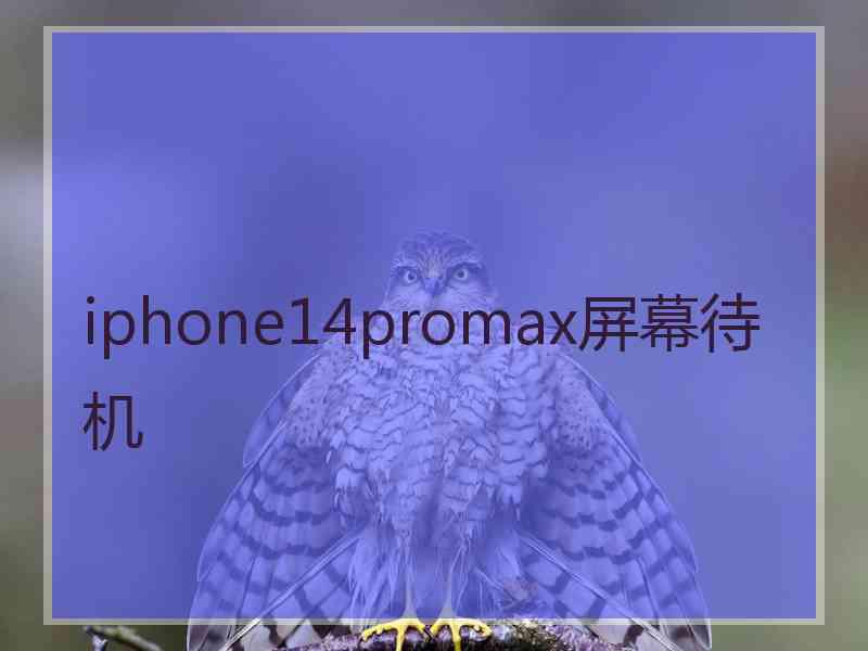 iphone14promax屏幕待机