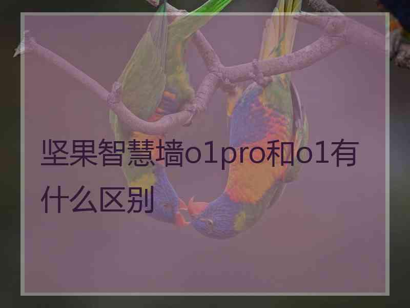 坚果智慧墙o1pro和o1有什么区别