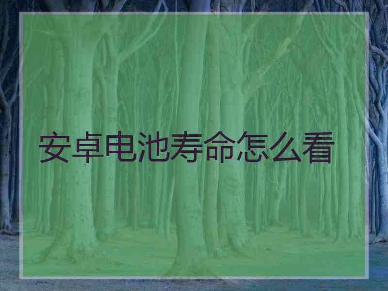 安卓电池寿命怎么看