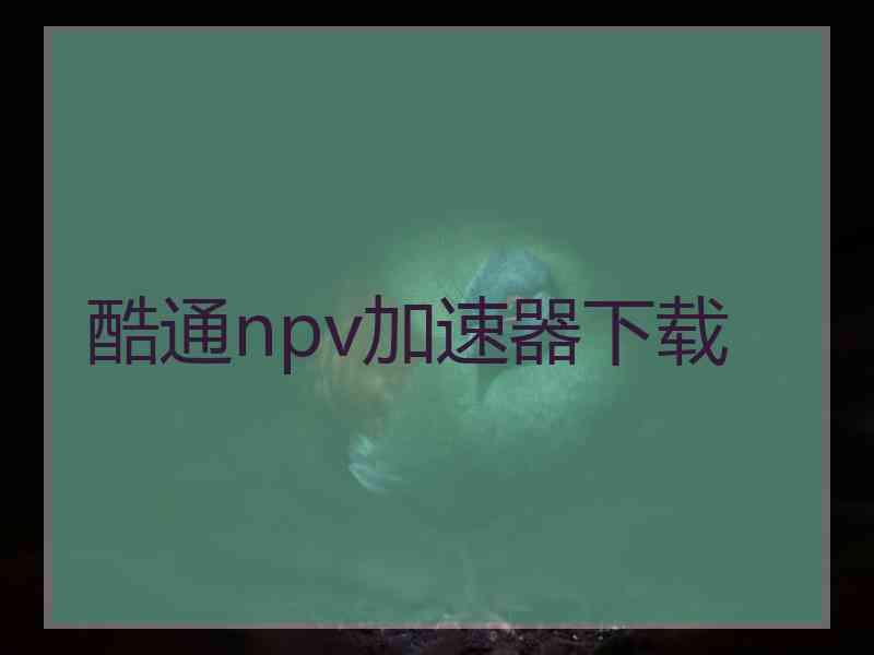 酷通npv加速器下载