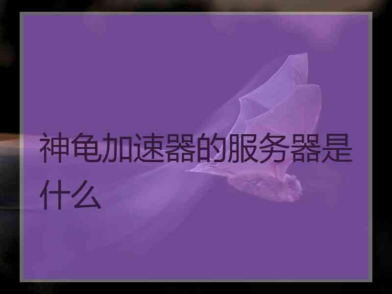 神龟加速器的服务器是什么