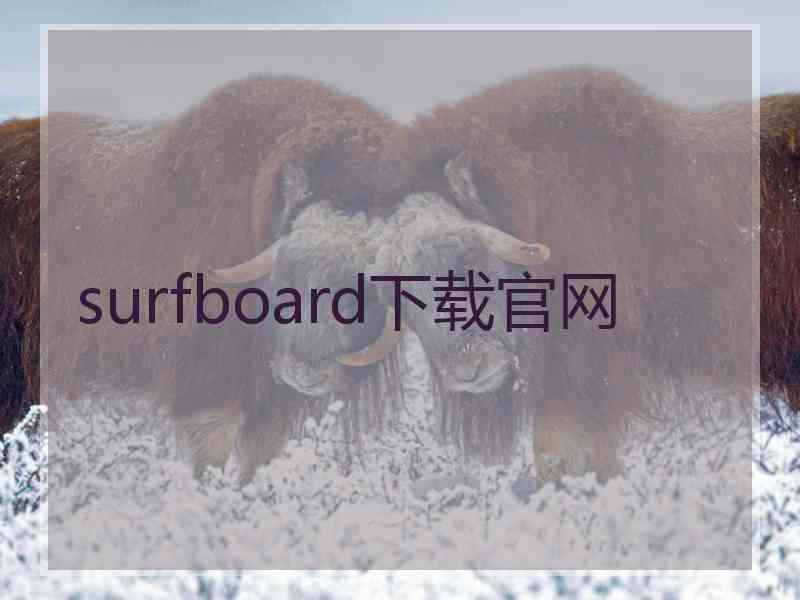 surfboard下载官网