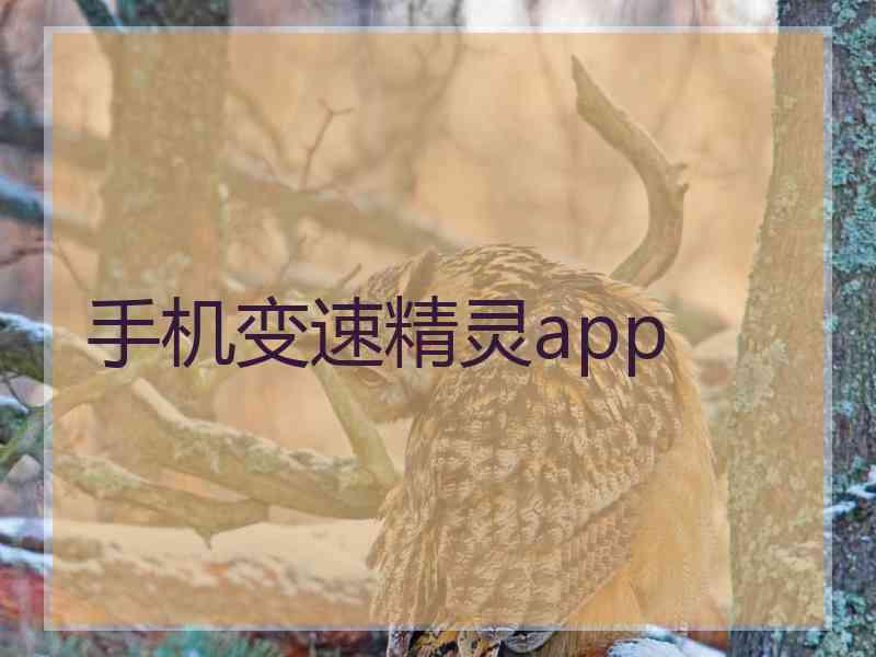 手机变速精灵app