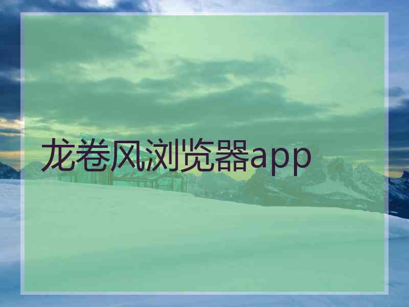 龙卷风浏览器app