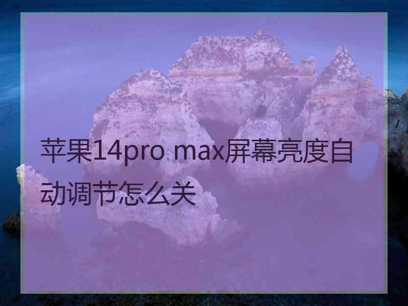 苹果14pro max屏幕亮度自动调节怎么关