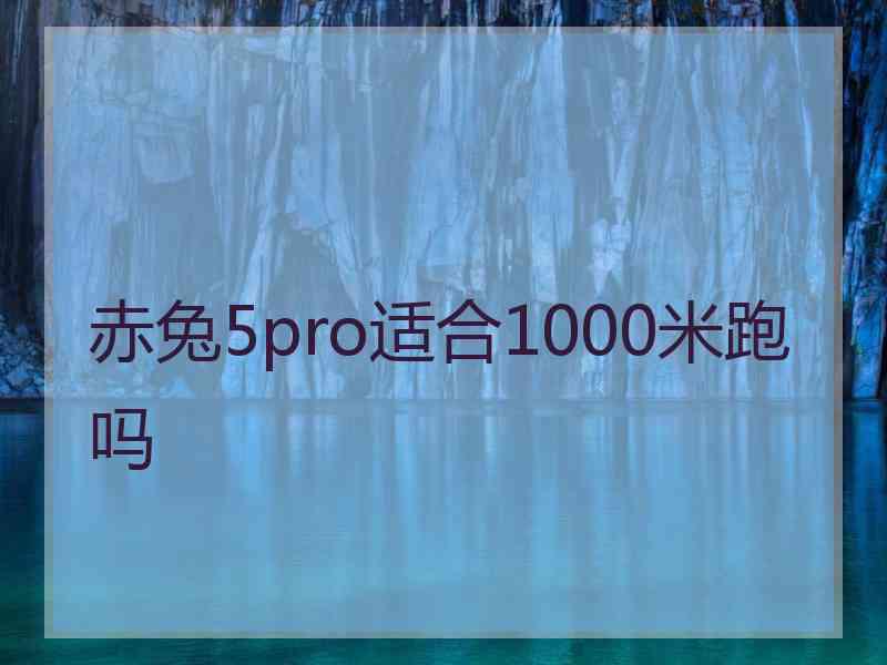 赤兔5pro适合1000米跑吗