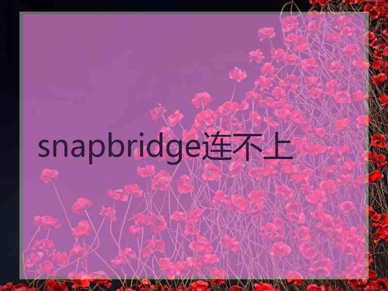 snapbridge连不上