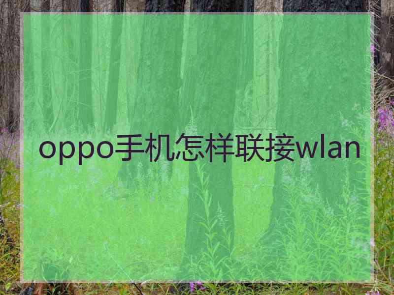 oppo手机怎样联接wlan