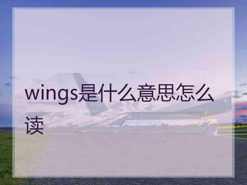 wings是什么意思怎么读