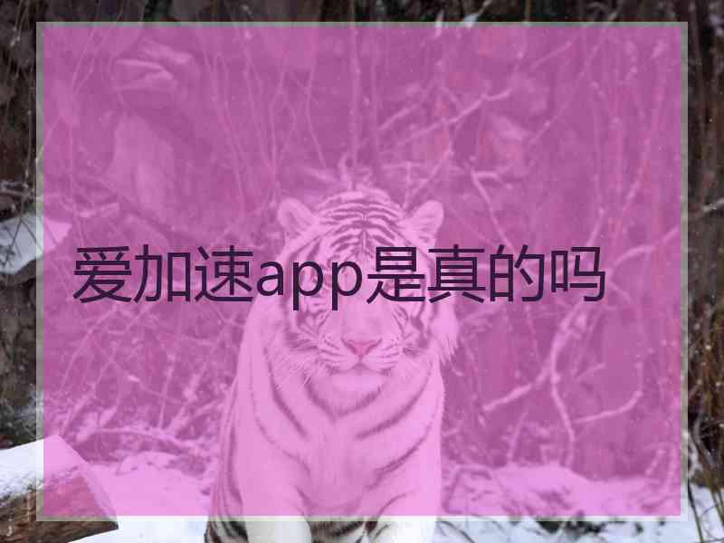 爱加速app是真的吗