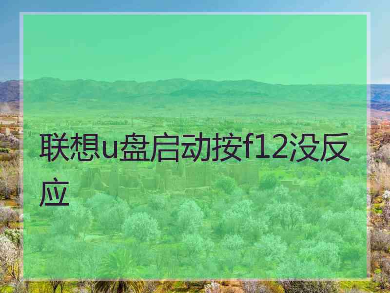 联想u盘启动按f12没反应