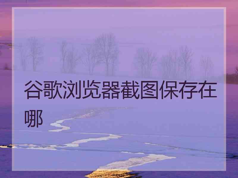 谷歌浏览器截图保存在哪