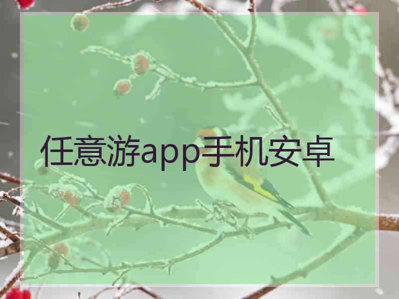 任意游app手机安卓