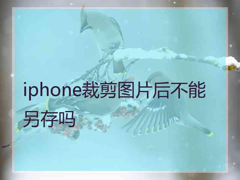 iphone裁剪图片后不能另存吗