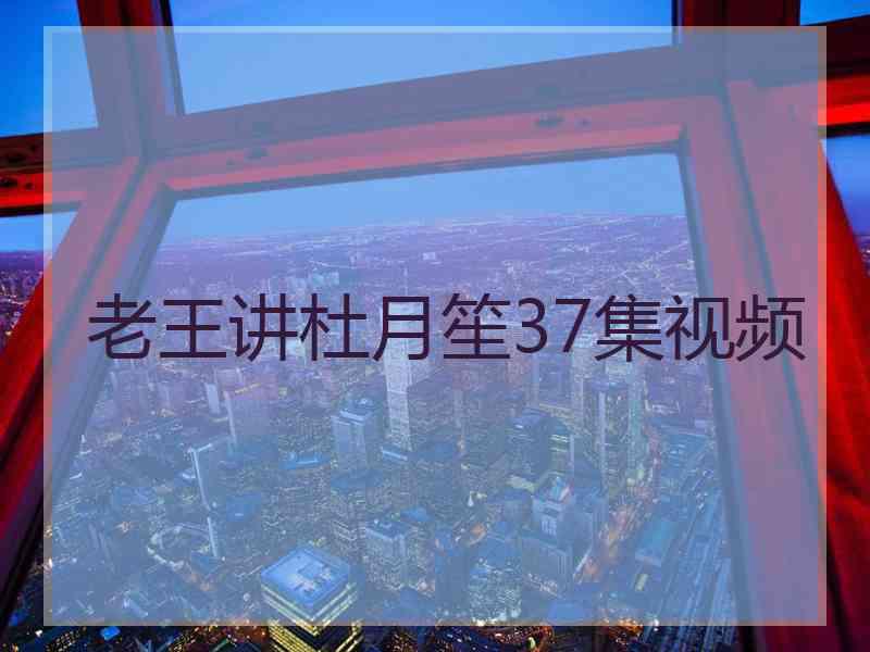 老王讲杜月笙37集视频