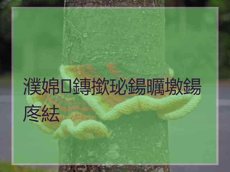 濮婂鏄撳珌鍚曞墽鍚庝紶