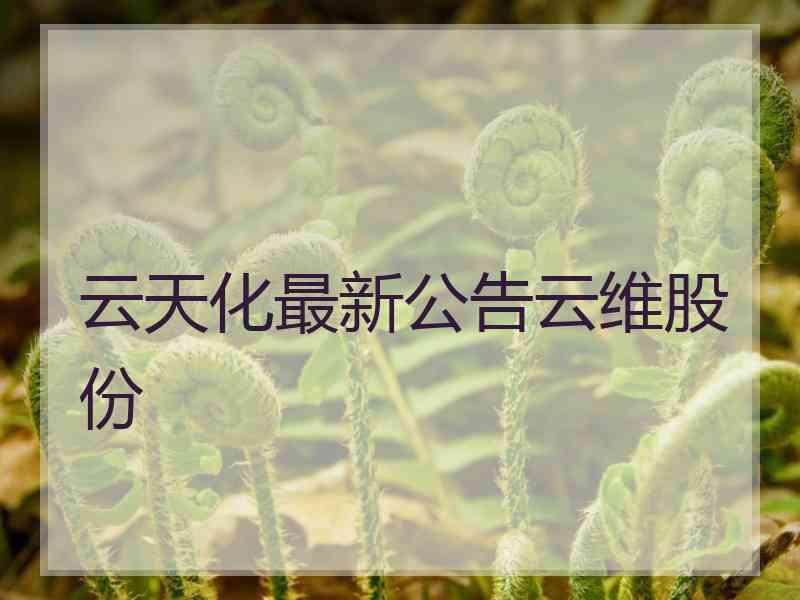 云天化最新公告云维股份