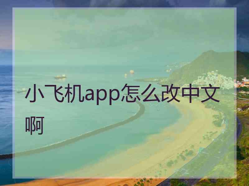 小飞机app怎么改中文啊