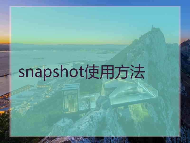 snapshot使用方法