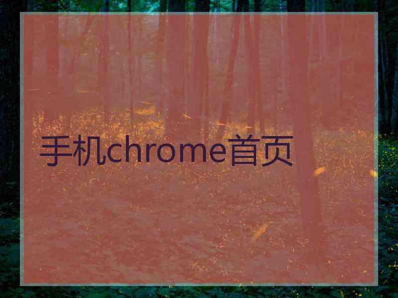 手机chrome首页