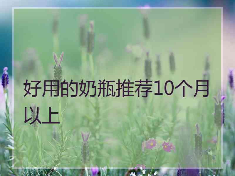 好用的奶瓶推荐10个月以上