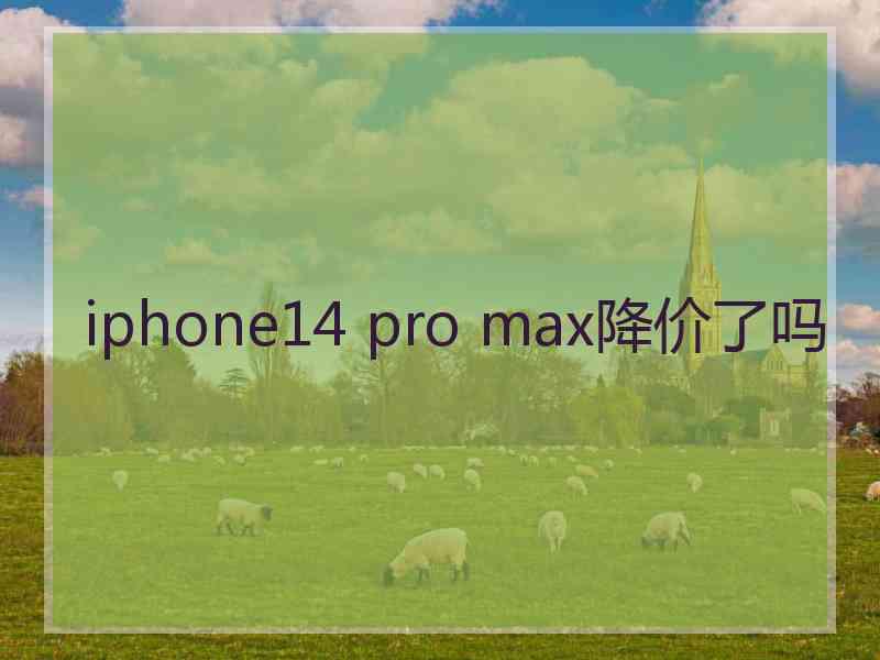 iphone14 pro max降价了吗