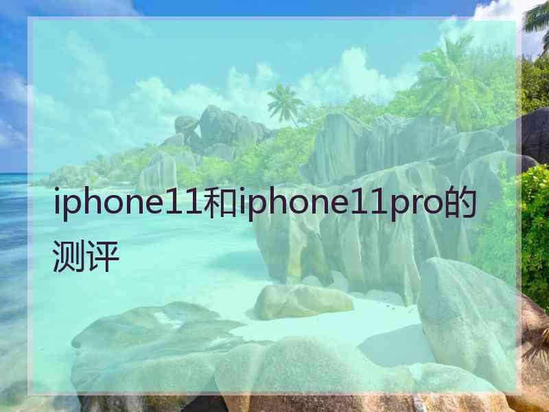 iphone11和iphone11pro的测评