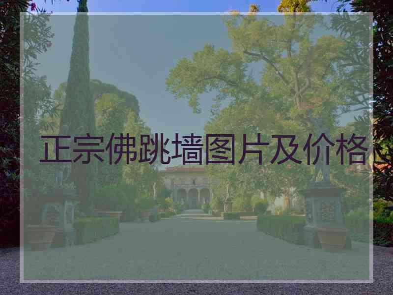 正宗佛跳墙图片及价格