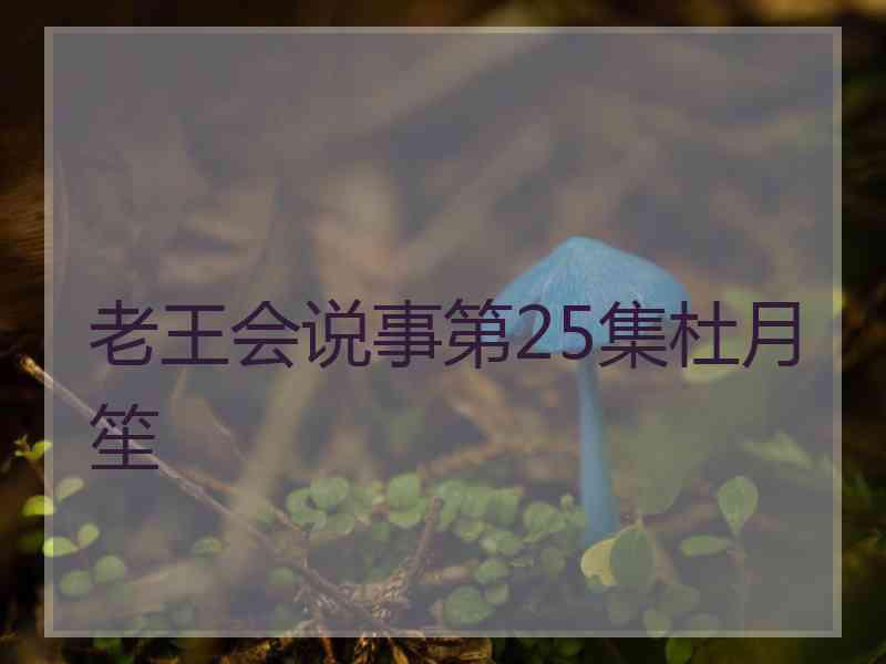 老王会说事第25集杜月笙