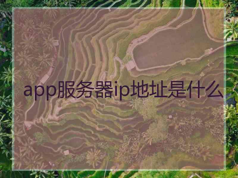 app服务器ip地址是什么