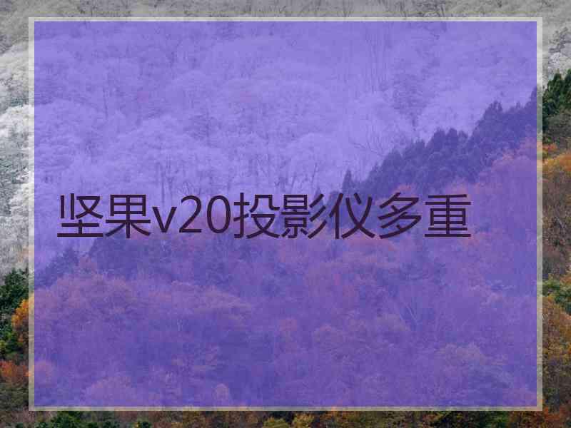 坚果v20投影仪多重