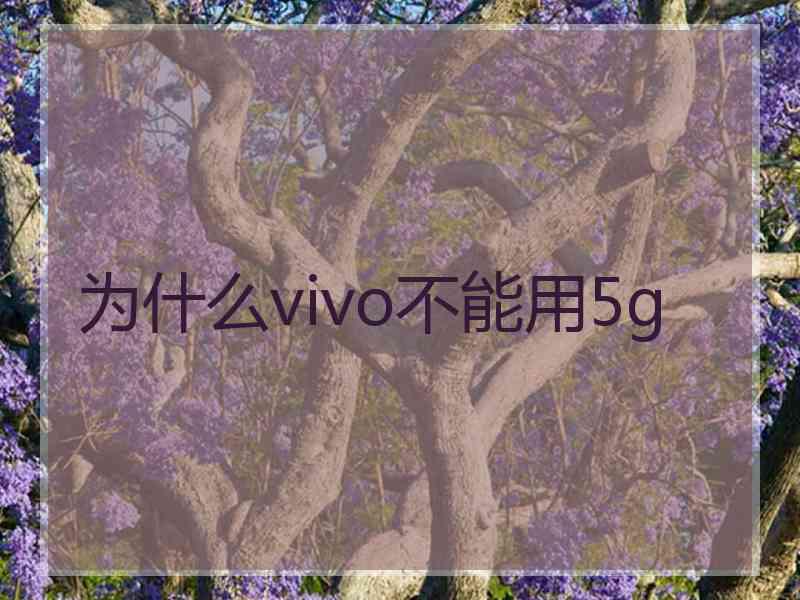 为什么vivo不能用5g