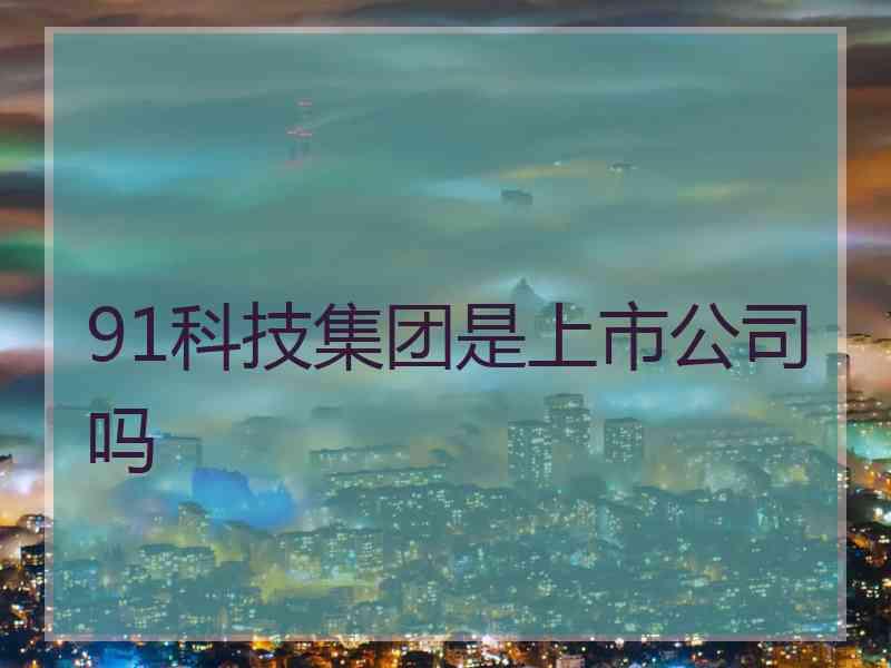 91科技集团是上市公司吗