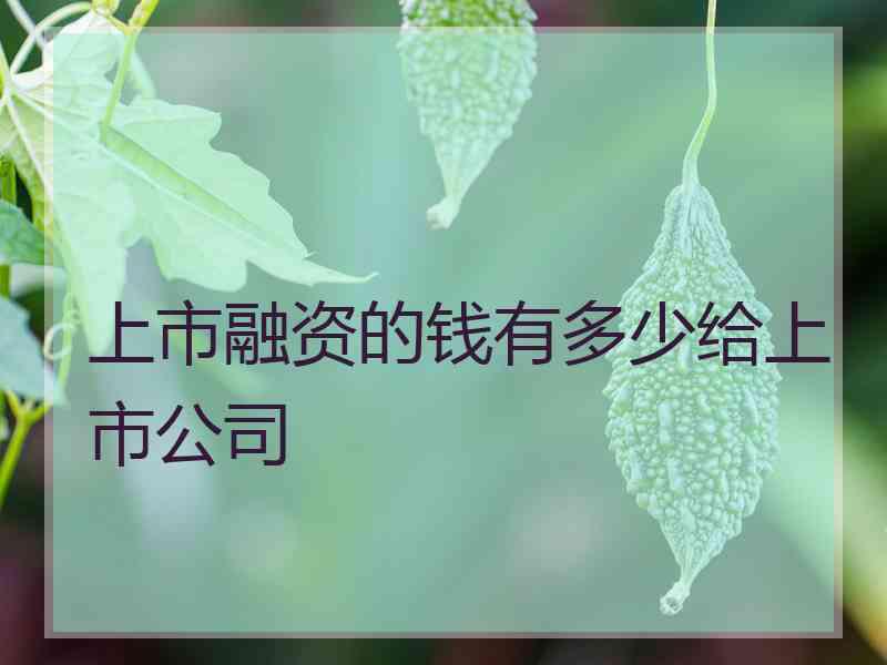 上市融资的钱有多少给上市公司