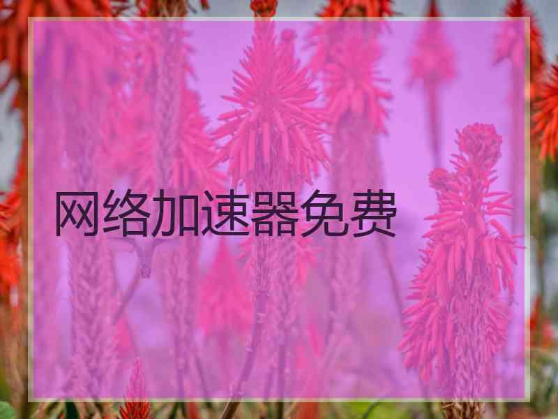 网络加速器免费