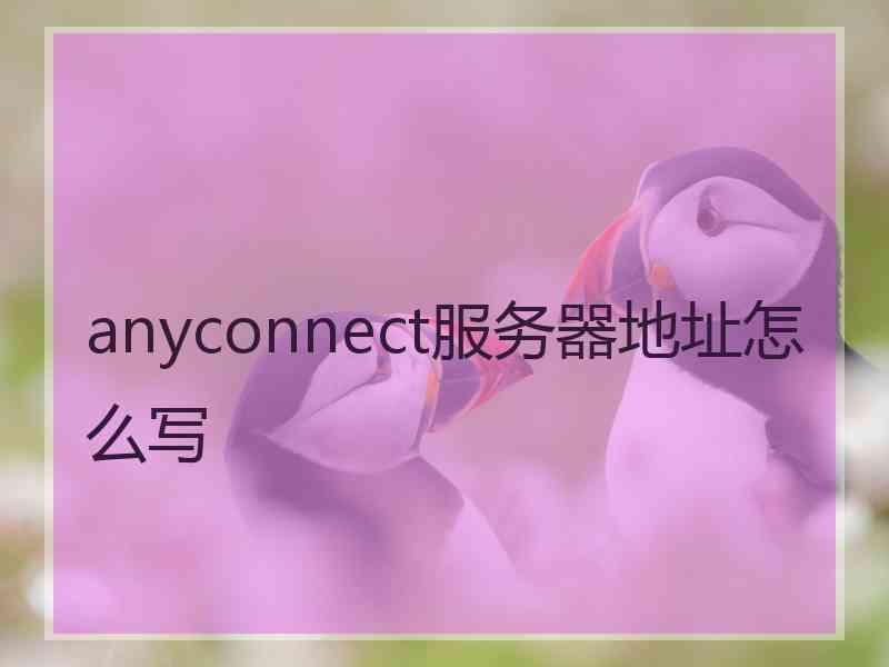 anyconnect服务器地址怎么写