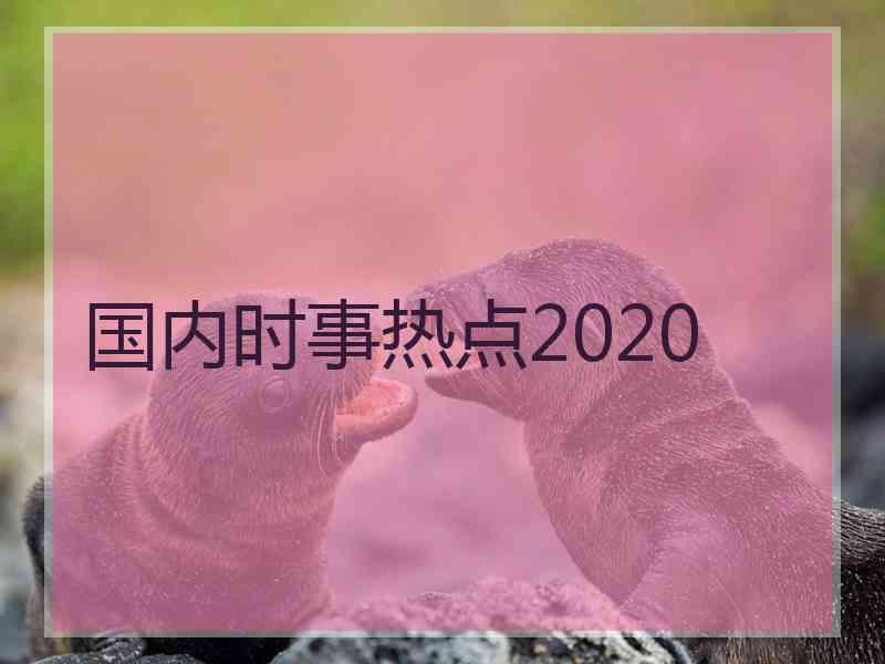 国内时事热点2020