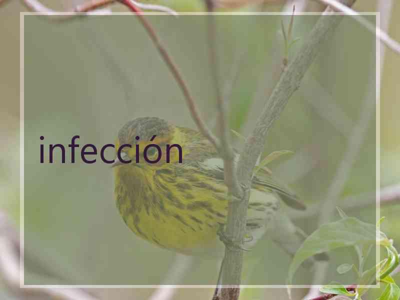 infección