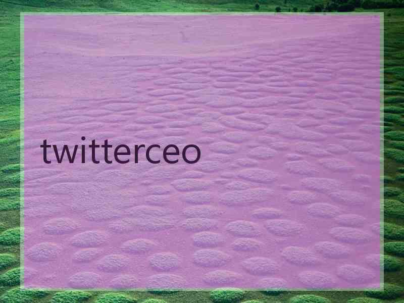 twitterceo