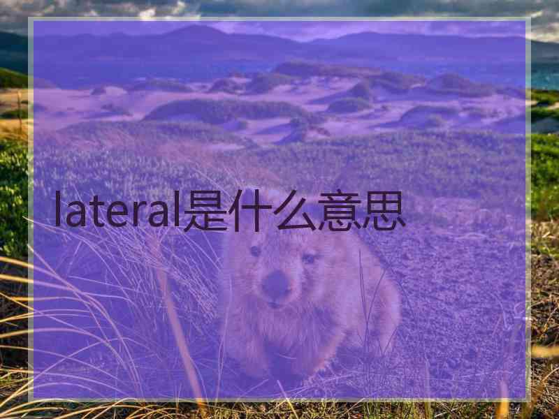 lateral是什么意思