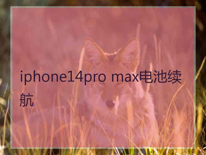 iphone14pro max电池续航