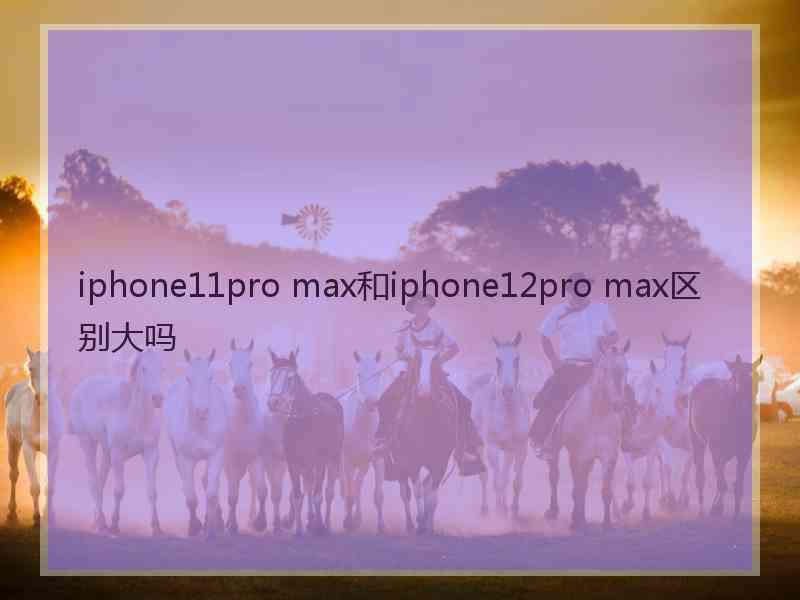 iphone11pro max和iphone12pro max区别大吗