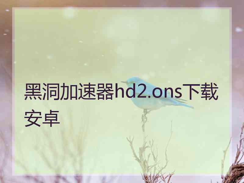 黑洞加速器hd2.ons下载安卓