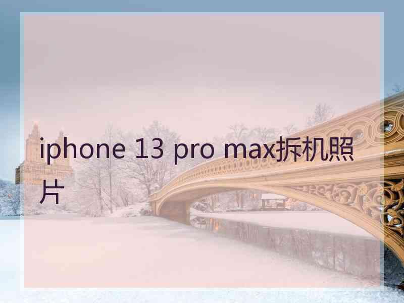 iphone 13 pro max拆机照片